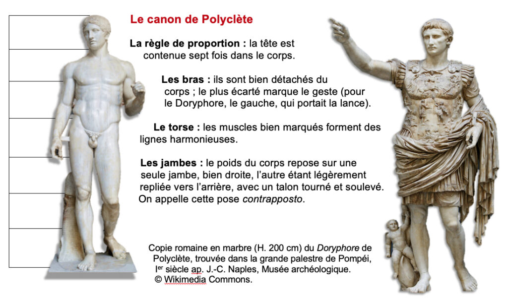 Auguste Prima Porta Canon Polyclète