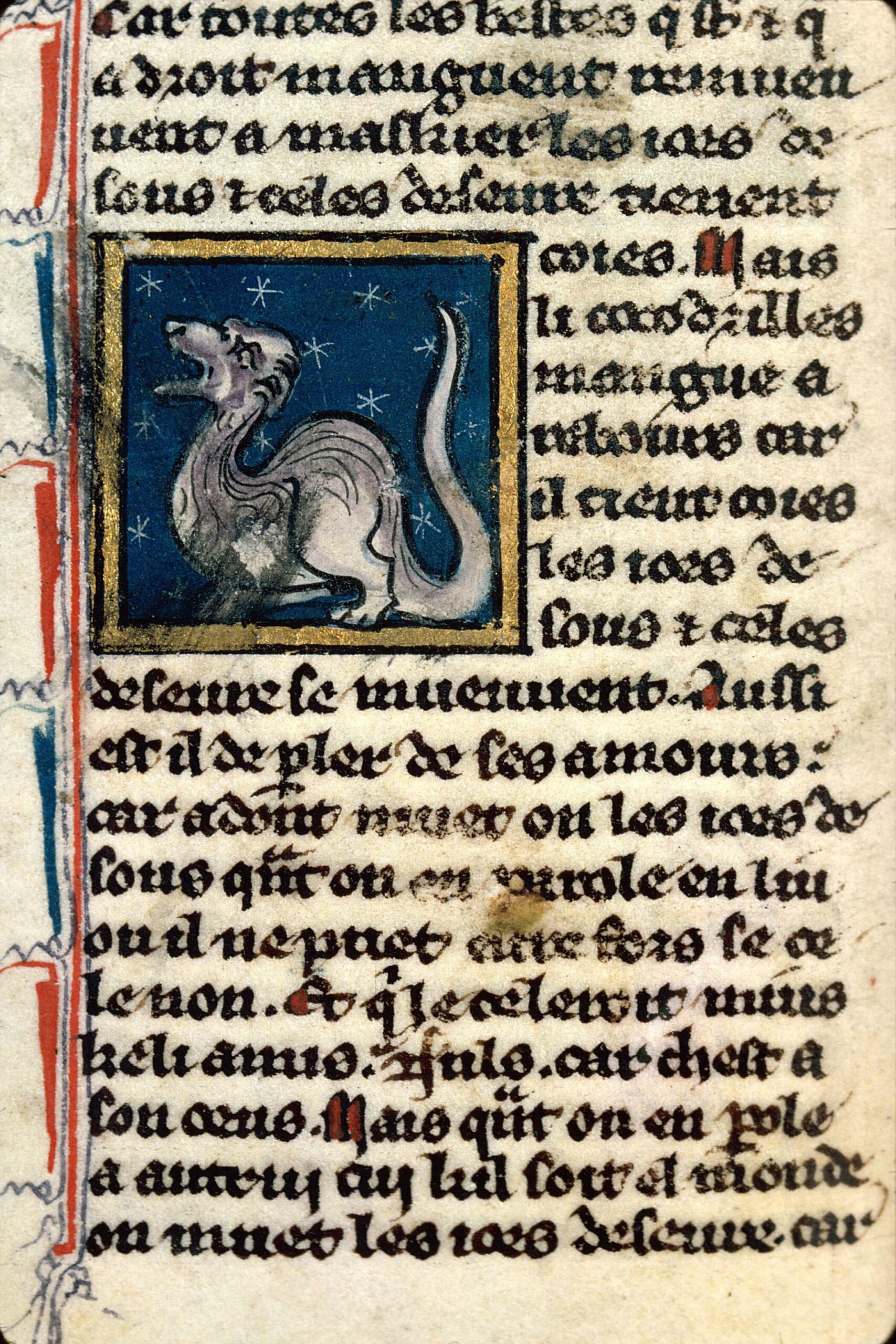 Enluminure médiévale représentant un animal allongé au corps écailleux, à mi-chemin entre le serpent et le dragon, sur fond bleu.