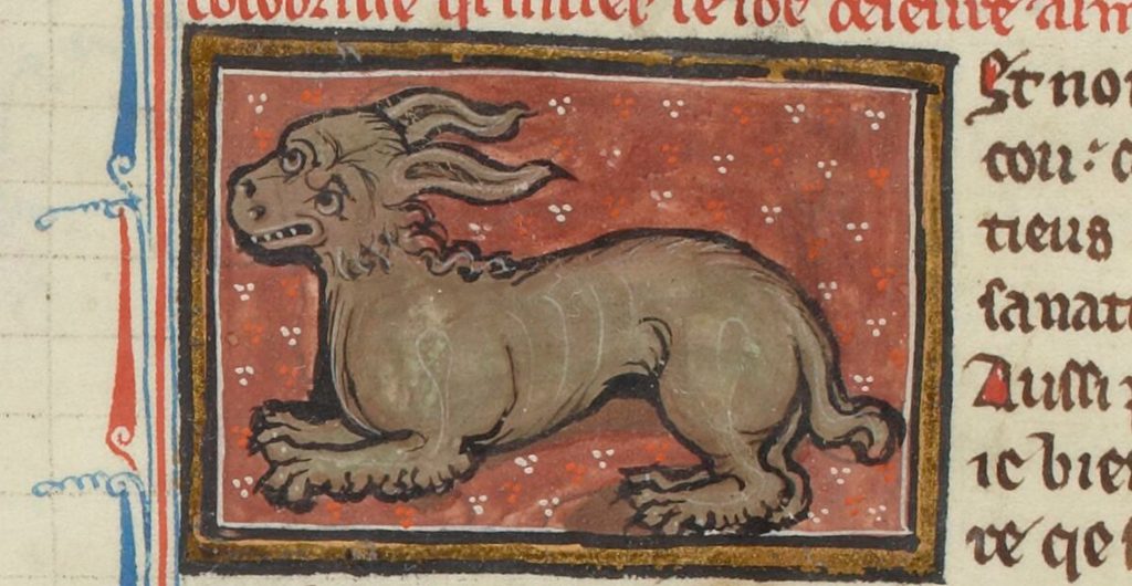 Enluminure médiévale représentant un crocodile, dans un manuscrit du 13e siècle.