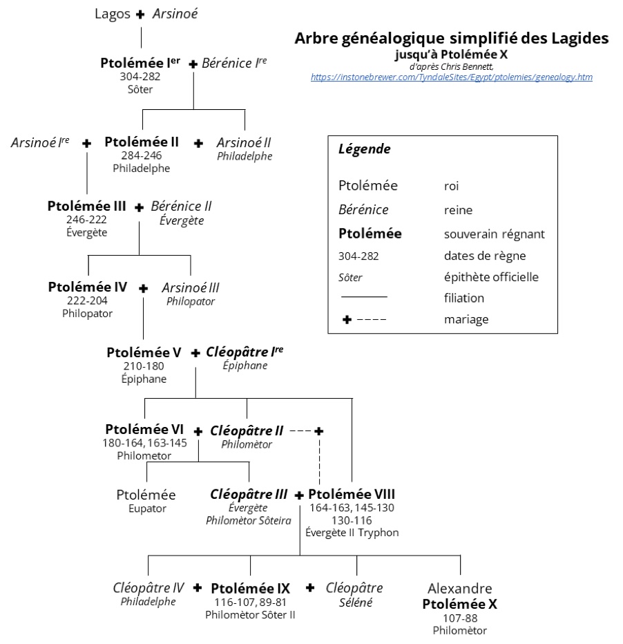 Arbre généalogique des rois lagides, où les alliances entre frères et sœurs apparaissent par des liens horizontaux et les filiations par des liens verticaux.