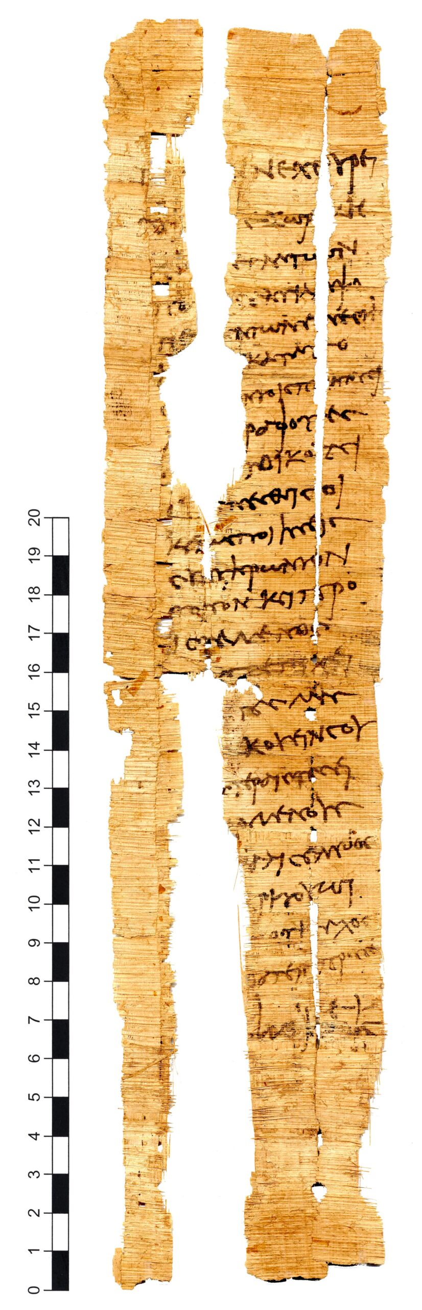 Feuillet de papyrus fragmentaire, couvert d'une écriture grecque cursive sur une vingtaine de lignes, avec des lacunes sur les bords.