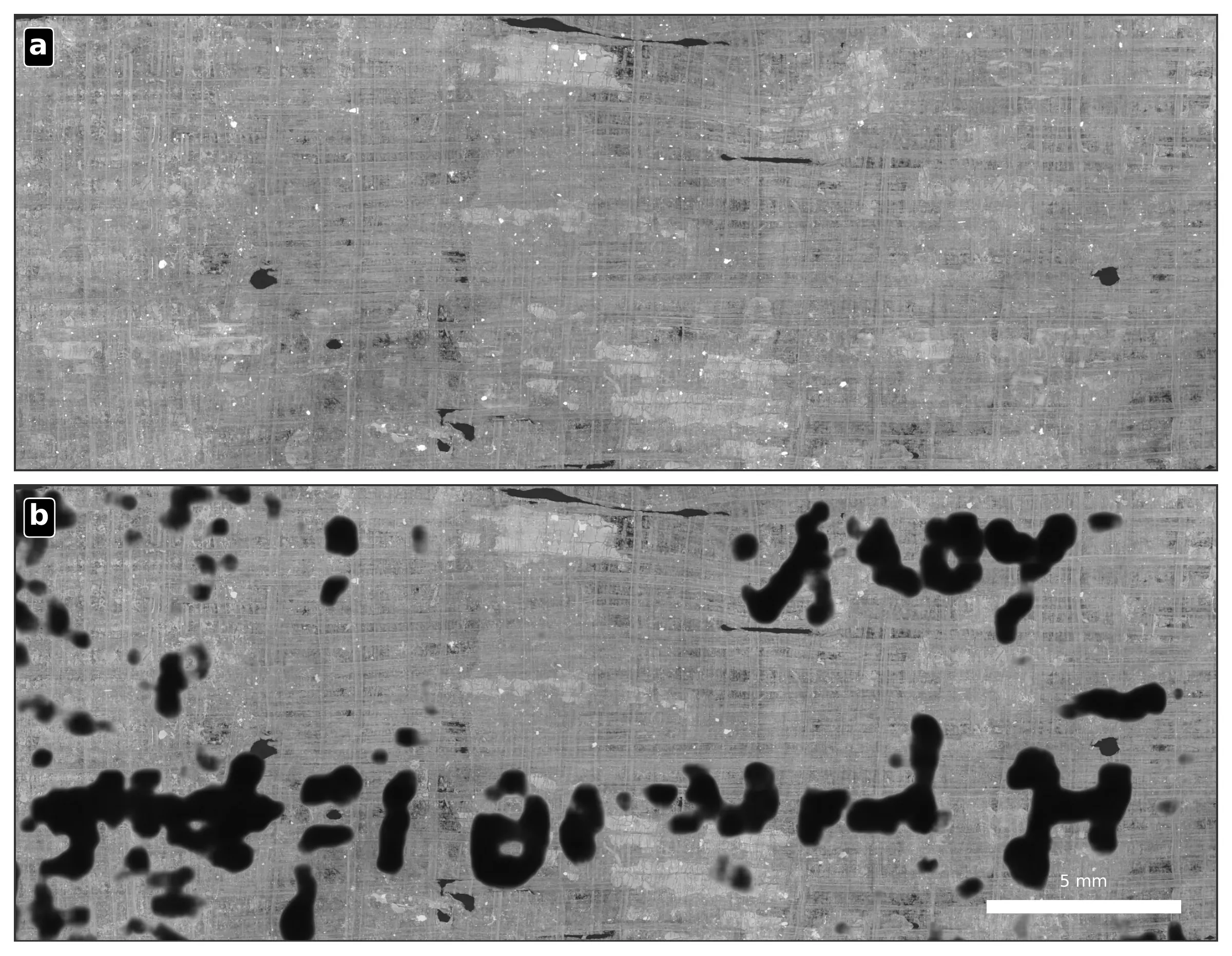 Deux vues d’une même surface de papyrus carbonisé, grise et striée de fibres. Sur la première, rien n’est lisible. Sur la seconde, des taches noires dessinent des lettres grecques sur deux lignes. Une échelle indique 5 millimètres.